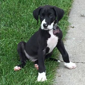 Meet your Posher, Tammi